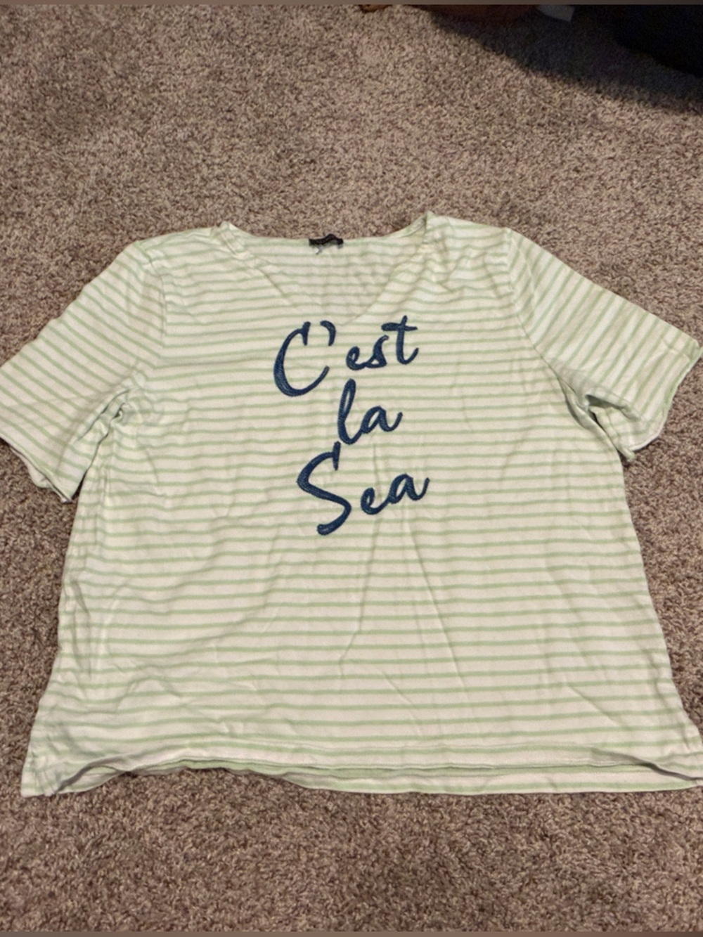 Talbots Striped "Cest ‘la Sea" Graphic Tee in Light Green and White